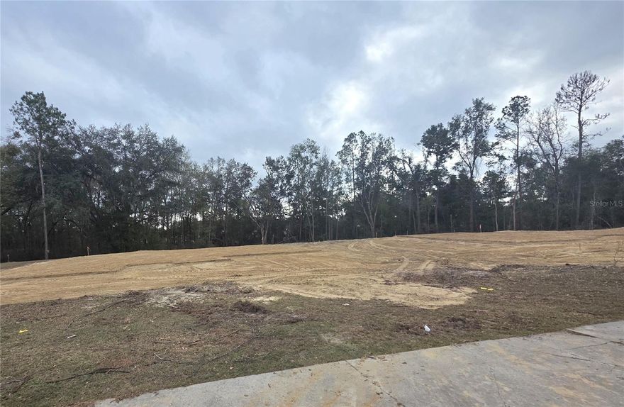 Pre-Construction. To be built. Under construction in the Preserve! This stylish 3-bedroom, 2-bath home offers elegant design and modern comfort in a community with a pool, playground, basketball, and tennis courts. Curb appeal shines with Hardie siding, stacked stone accents, and covered front and back porches. Inside, enjoy an open-concept layout with 10-foot ceilings, perfect for entertaining. The chef-inspired kitchen features granite countertops, stainless steel appliances, and ample workspace. Unwind in the private primary suite with a tray ceiling, walk-in closet, double granite vanity, tiled shower, and garden tub. Additional highlights include energy-efficient HVAC, LED lighting, and built-in pest defense. Convenient access to I-75 makes travel to Gainesville, Jacksonville, and Valdosta easy. Luxury, comfort, and convenience come together at the Preserve. Photos are of a previously built Adams Homes home; features may vary