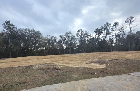 Photo of 581 SW Bellflower Drive, Lake City, FL 32024 (MLS # GC536688)