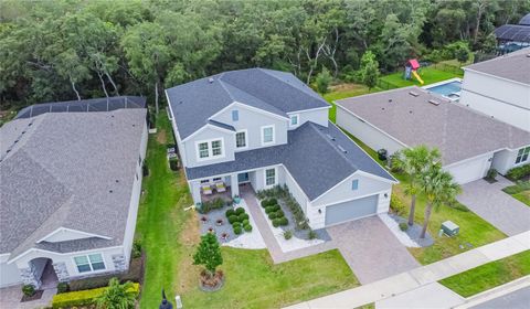 A home in WINTER GARDEN