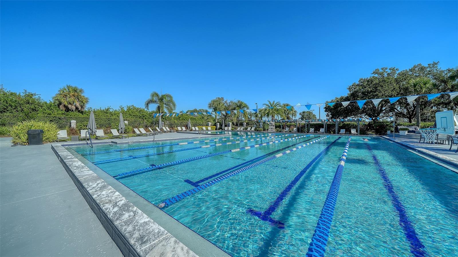 LAUREL OAK ESTATES SEC 07 - Residential