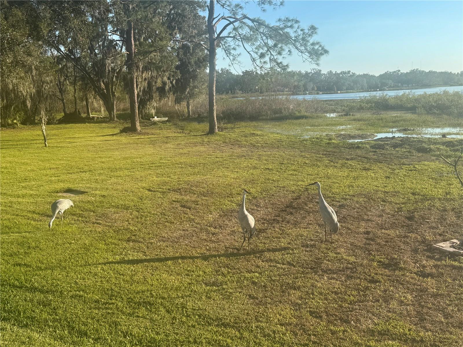 THE WILLOWS UNIT 1 - Residential