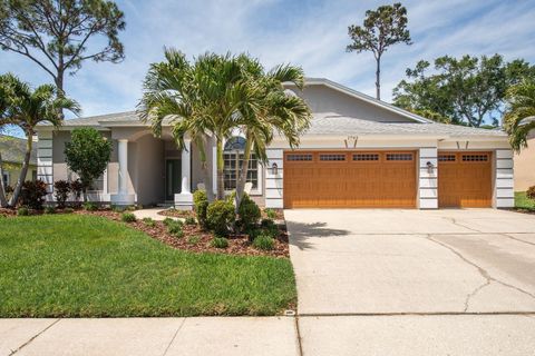 1793 PIPERS MEADOW DRIVE PALM HARBOR FL 34683