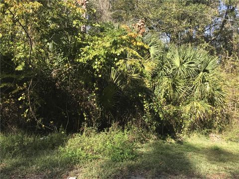 LOT 14 LAKE PANASOFFKEE FL 33538