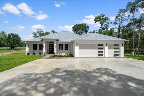 Photo of 10928 Osceola Drive, New Port Richey, FL 34654 (MLS # W7886218)