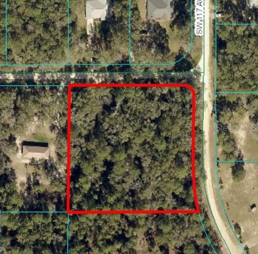 Nestled in the serene landscape of Rolling Hills, FL, this spacious vacant lot offers the perfect opportunity to build your dream home or invest in a promising location. Surrounded by gently rolling terrain, lush greenery, and a peaceful ambiance, this property provides both privacy and accessibility. Power lines pass by the property and the property will need a well and septic tank. A member/manager of the owning LLC is a licensed real estate agent.