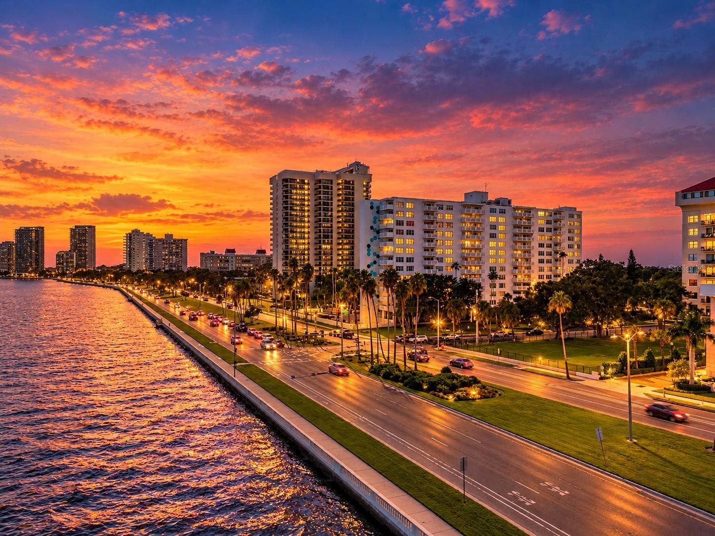 2401 BAYSHORE BOULEVARD 212