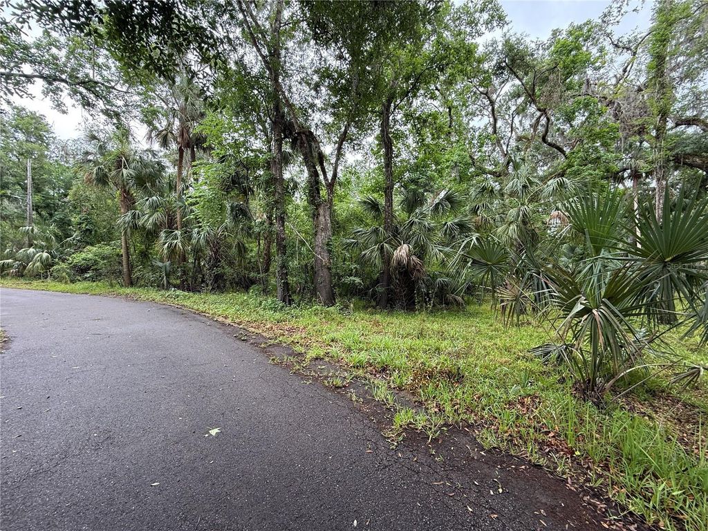 Photo of Coconut Cove, Valrico, FL 33596 (MLS # TB8379069)