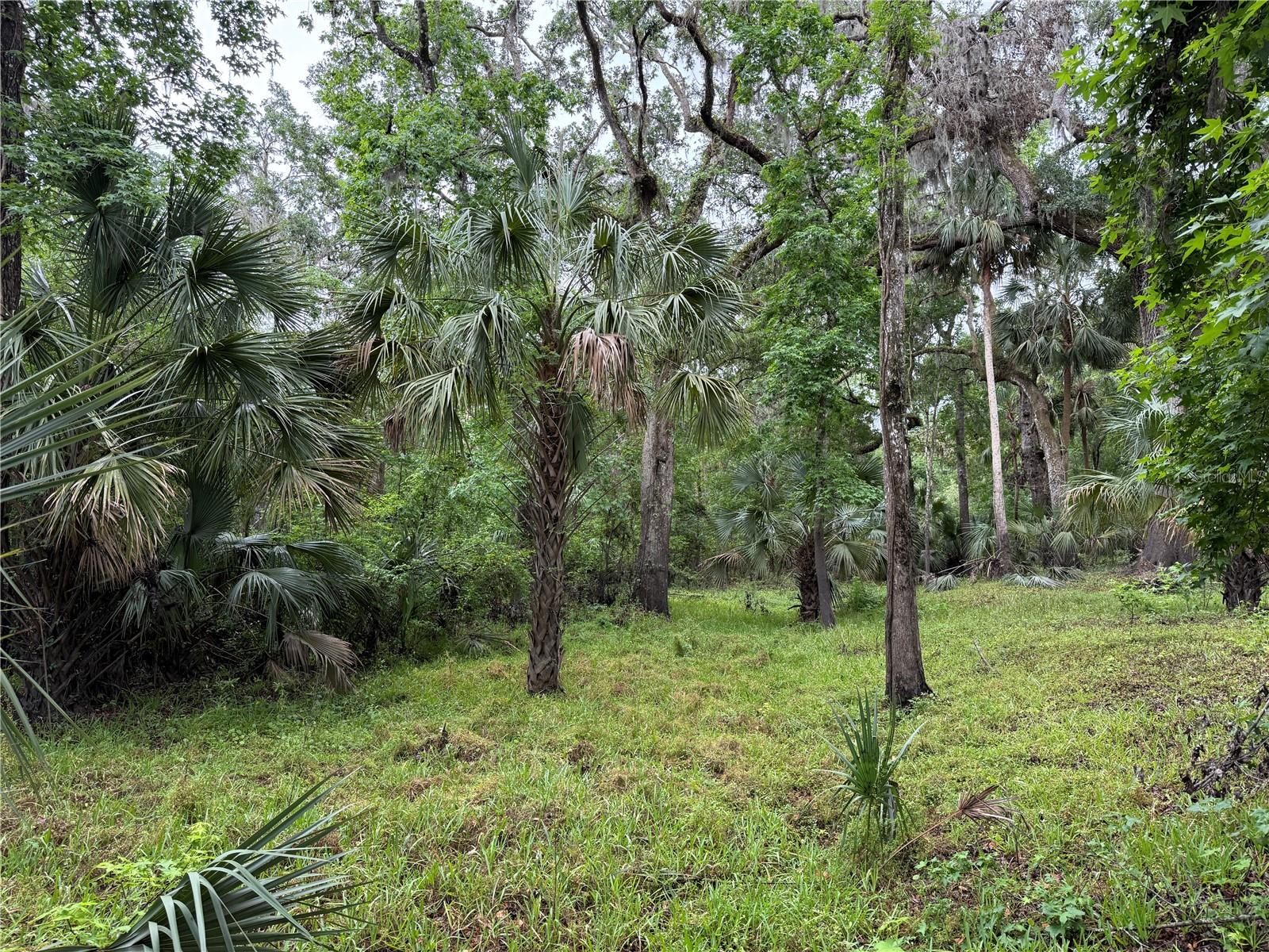 COCONUT COVE