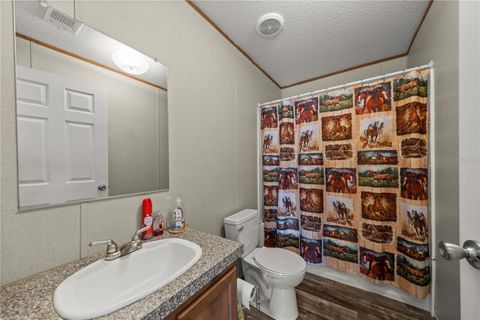 Tiny photo for 14650 SE 6th Lane, Williston, FL 32696 (MLS # OM719875)