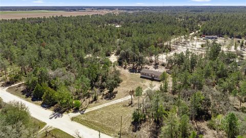 Tiny photo for 14650 SE 6th Lane, Williston, FL 32696 (MLS # OM719875)
