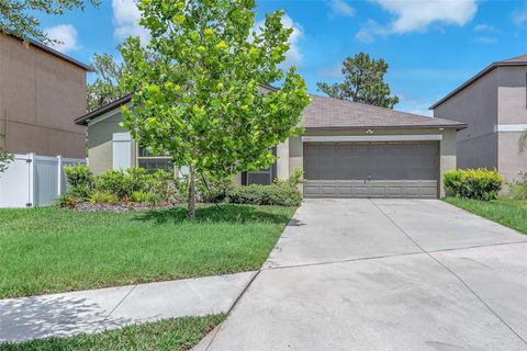 12907 WILDFLOWER MEADOW DRIVE RIVERVIEW FL 33579