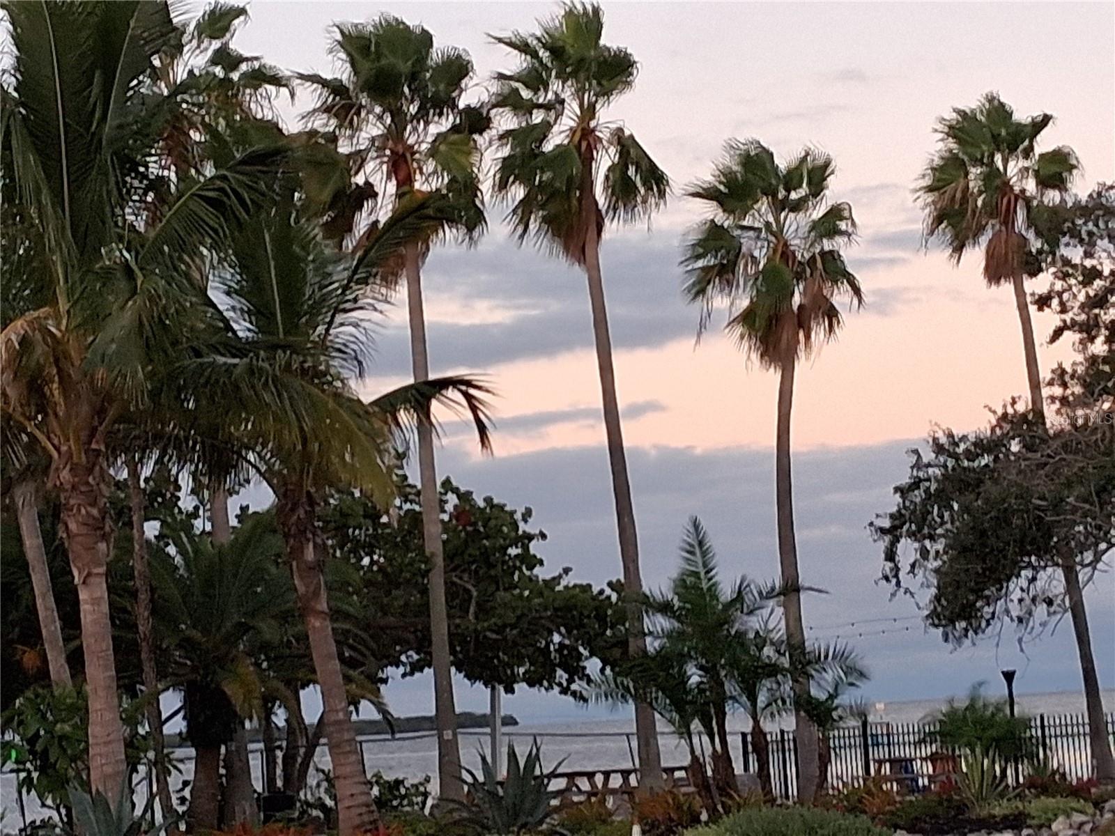 ISLAND RESORT AT MARINERS CLUB - Residential