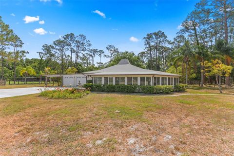 495 APPALOOSA ROAD TARPON SPRINGS FL 34688