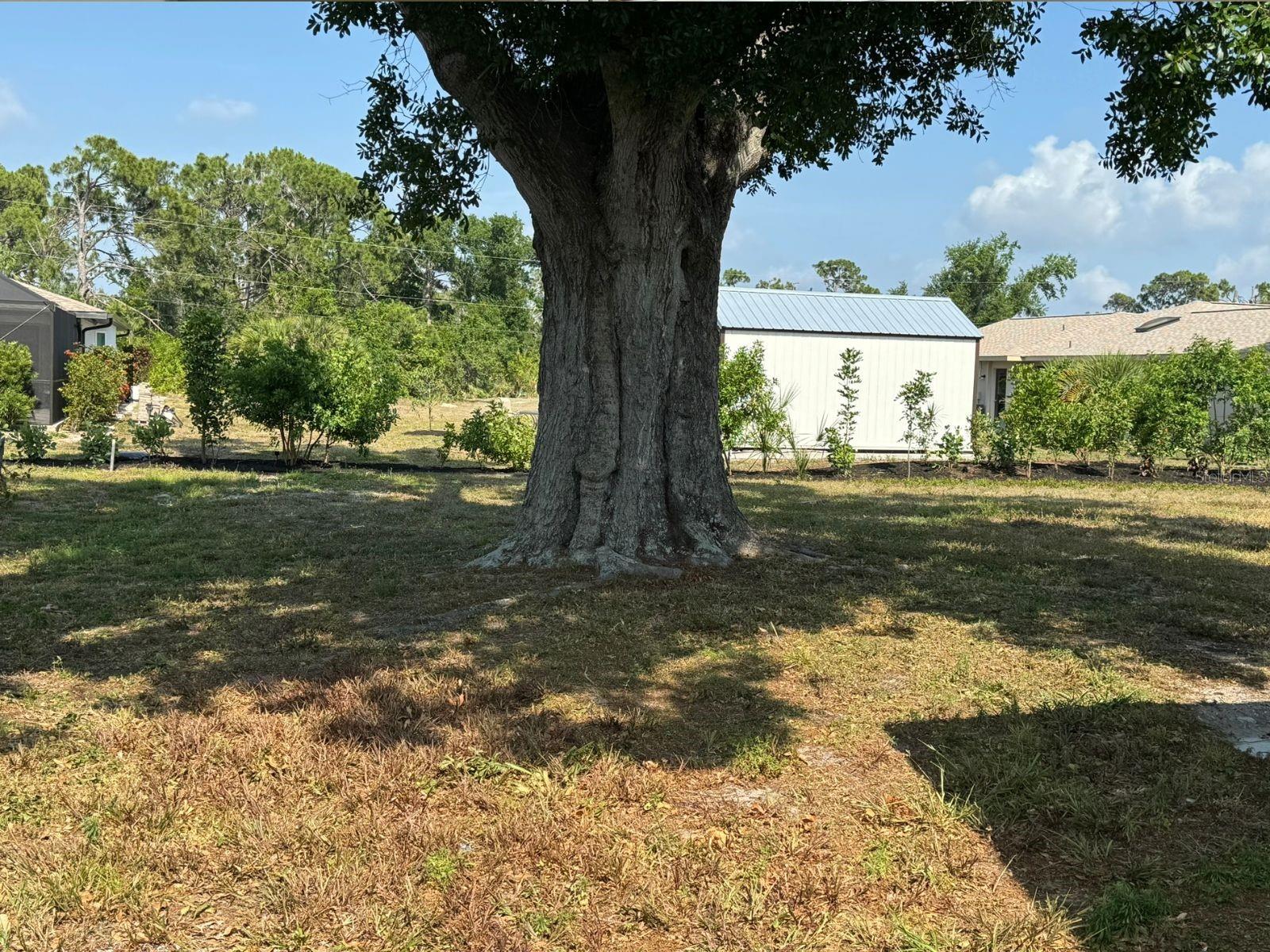 PORT CHARLOTTE SEC 064 - Residential Lease