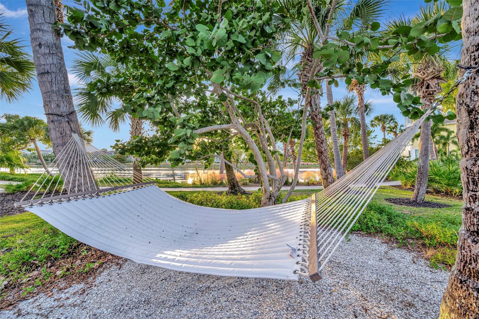 MANGROVE WALK II ON HARBOUR ISLE 1, 2, 3&4 - Residential