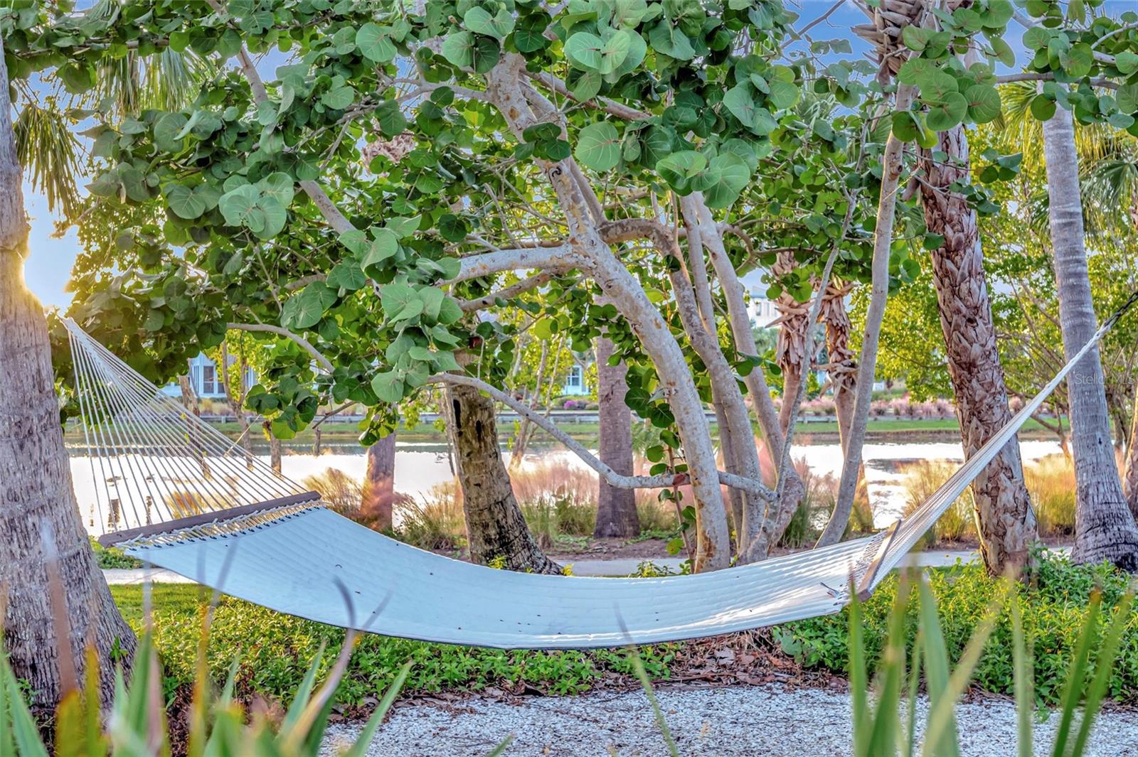 MANGROVE WALK II ON HARBOUR ISLE 1, 2, 3&4 - Residential