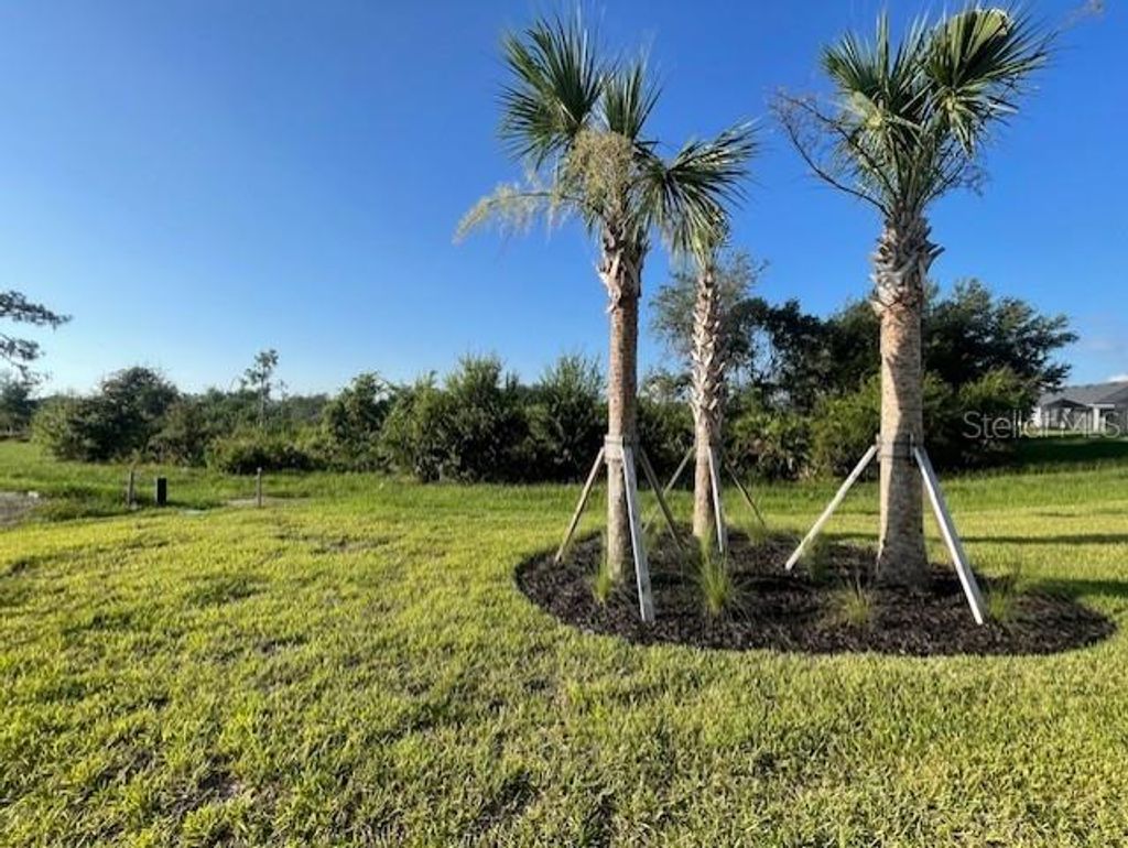 Photo of 18918 Indian Rock Place, Lakewood Ranch, FL 34211 (MLS # TB8436995)