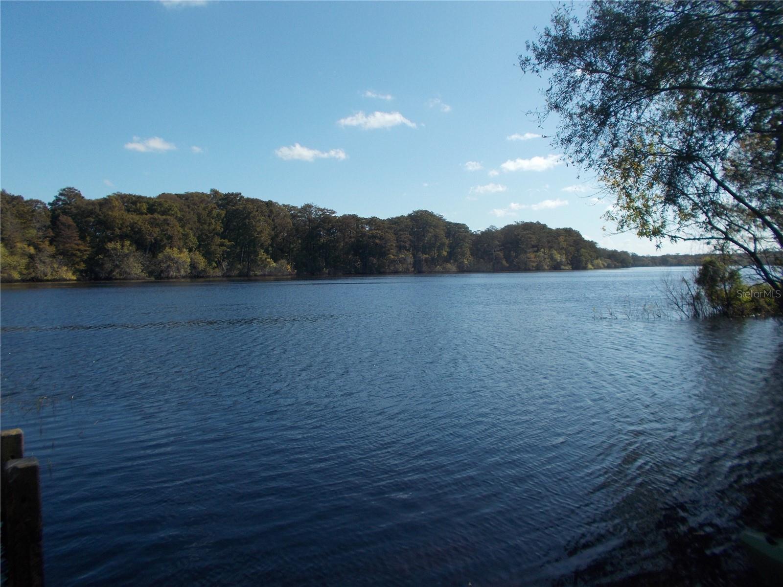 RIDGE MANOR ESTATE - Land