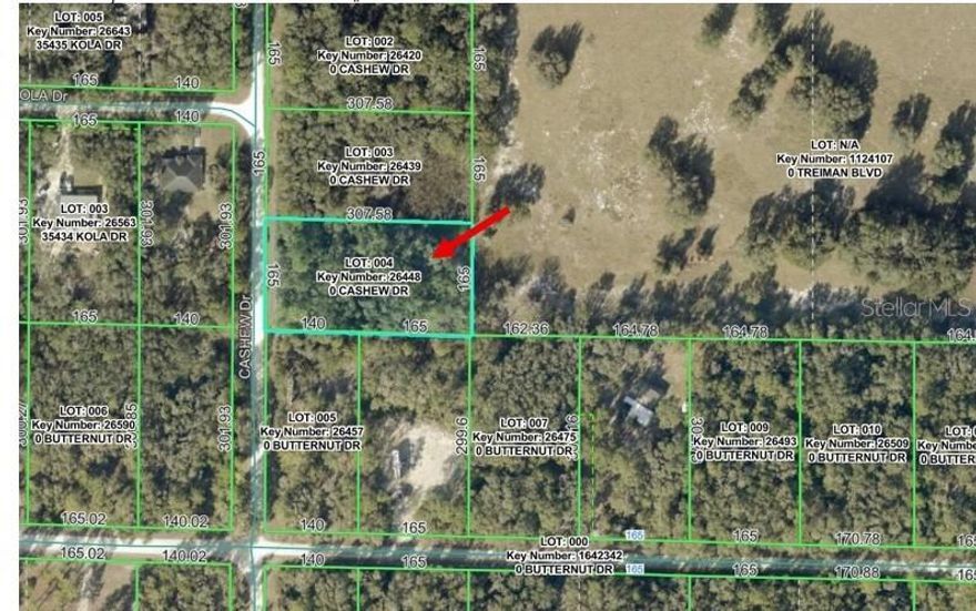 Build Your Dream Home on this 1.17acre lot! Located in Hernando County with no HOA! Quiet country setting yet easy commute to Tampa (About 45 miles), Orlando (About 56 miles) or Ocala (about 53) via I75.  Close to downtown Dade City (About 13 miles) and Brooksville (about 18 miles) with monthly and annual events. About 8 miles to shopping center with restaurants, shops and Interstate I-75 or to downtown Bushnell. Close to Withlacoochee State Trail, Silver Lake (about 10 miles) with camping, fishing and boating, hiking, birding and hunting at the Croom Wildlife management areas (about 15 miles). Croom Motorcycle Area with motor bike trails and camping (about 8 miles away). Ridge Manor Community Park (about 4 miles) with playground, picnic pavilion and ball fields. Ridge Manor Community Center (about 4 miles) with community and social events.