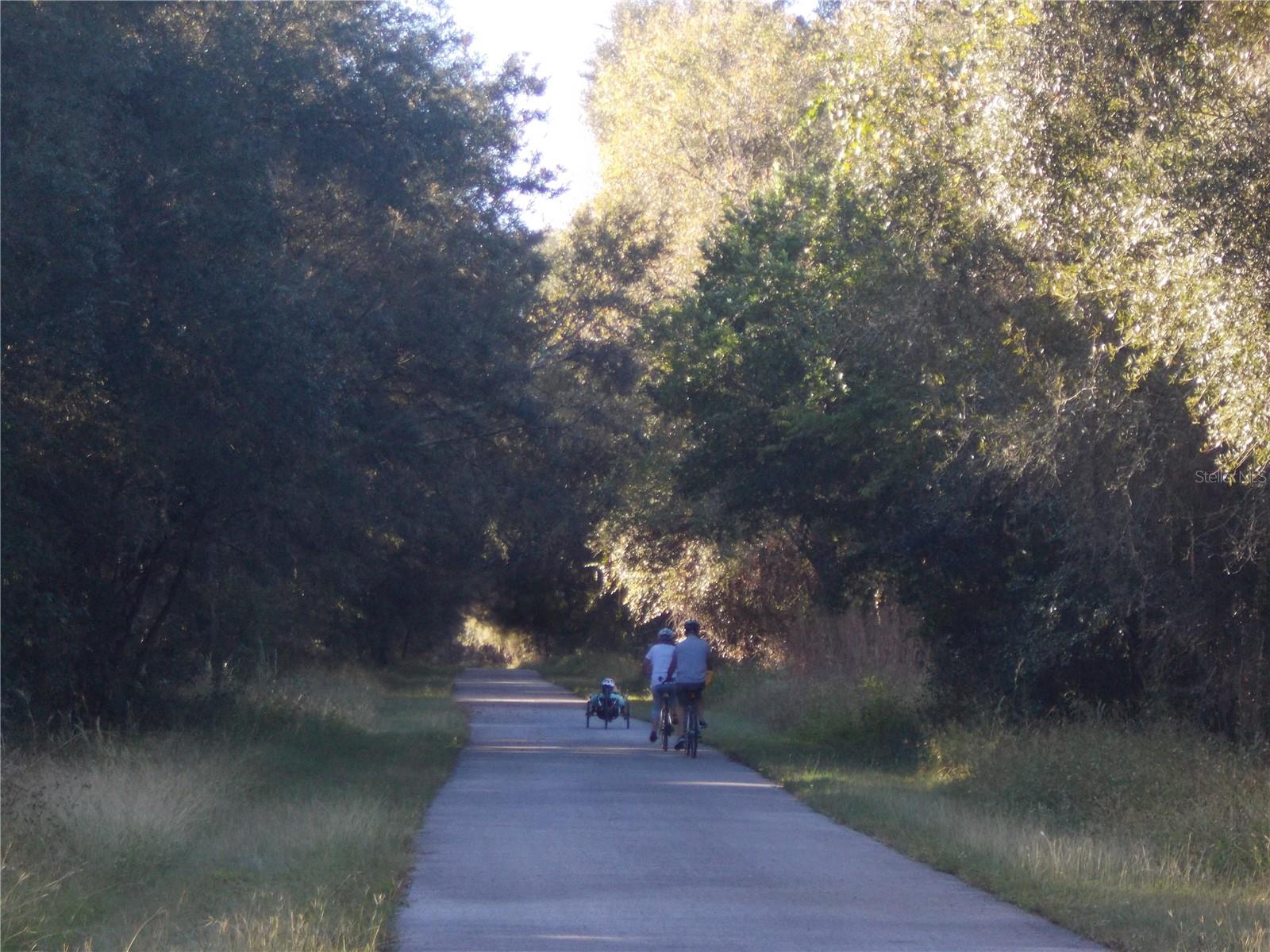 RIDGE MANOR ESTATE - Land