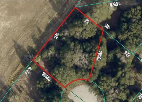 Photo of Dogwood Trail, Ocala, FL 34472 (MLS # S5146414)