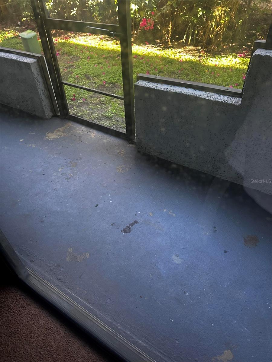 MILLENNIUM PALMS - Residential Lease