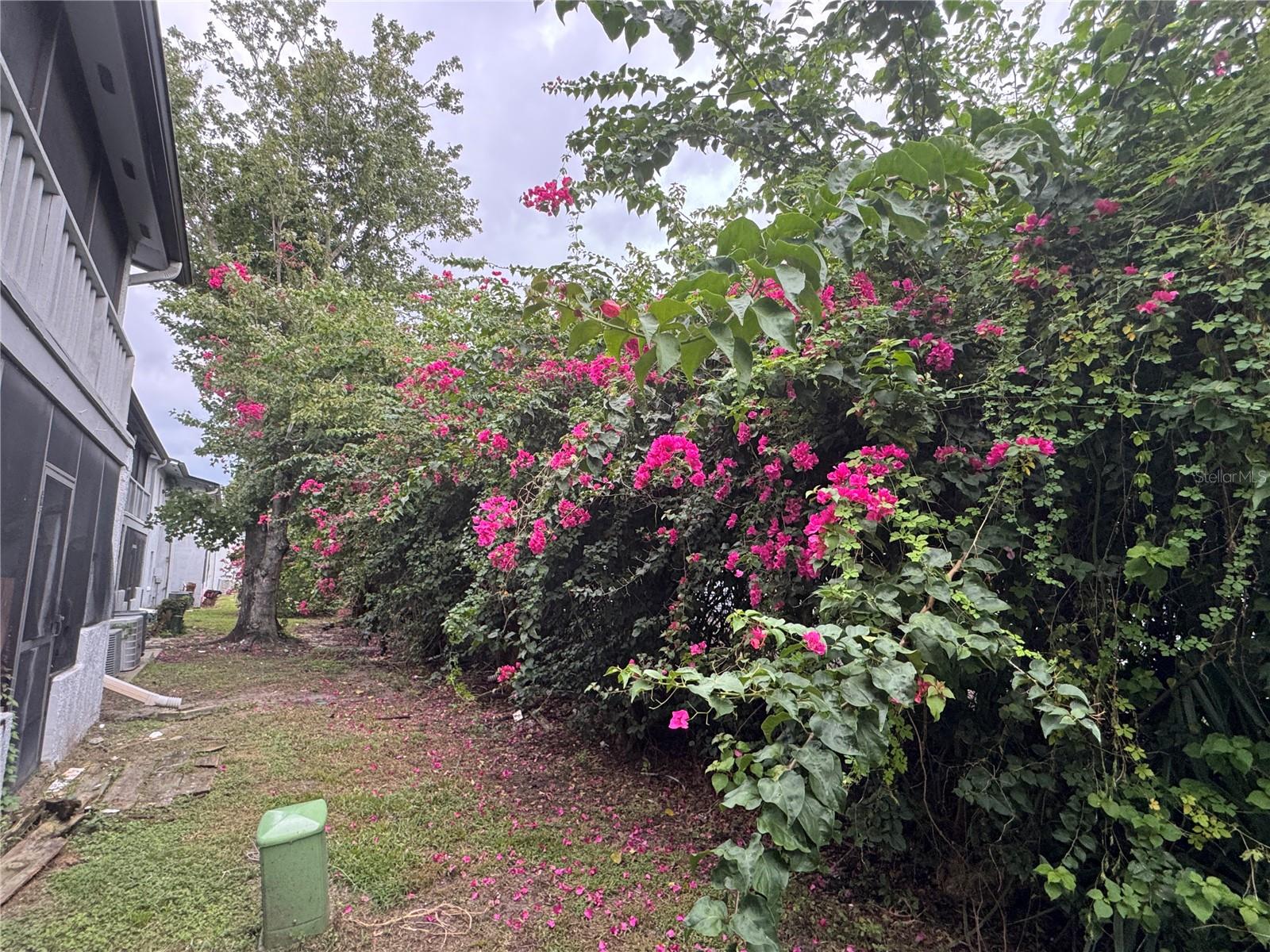 MILLENNIUM PALMS - Residential Lease