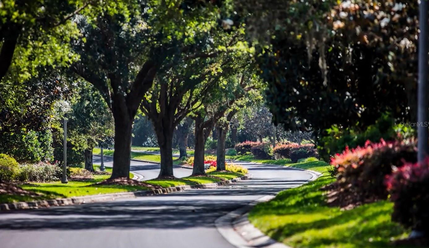 CITRUS HILLS - TERRA VISTA - Residential