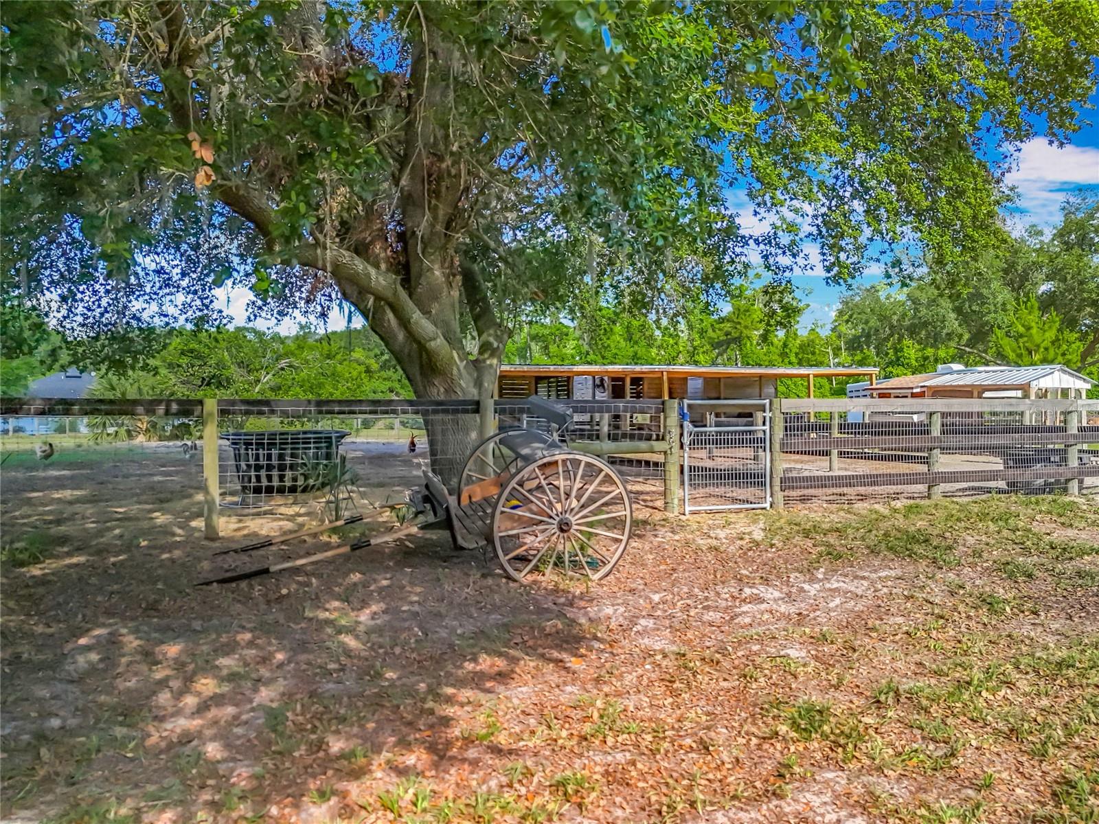 38241 COUNTY ROAD 439