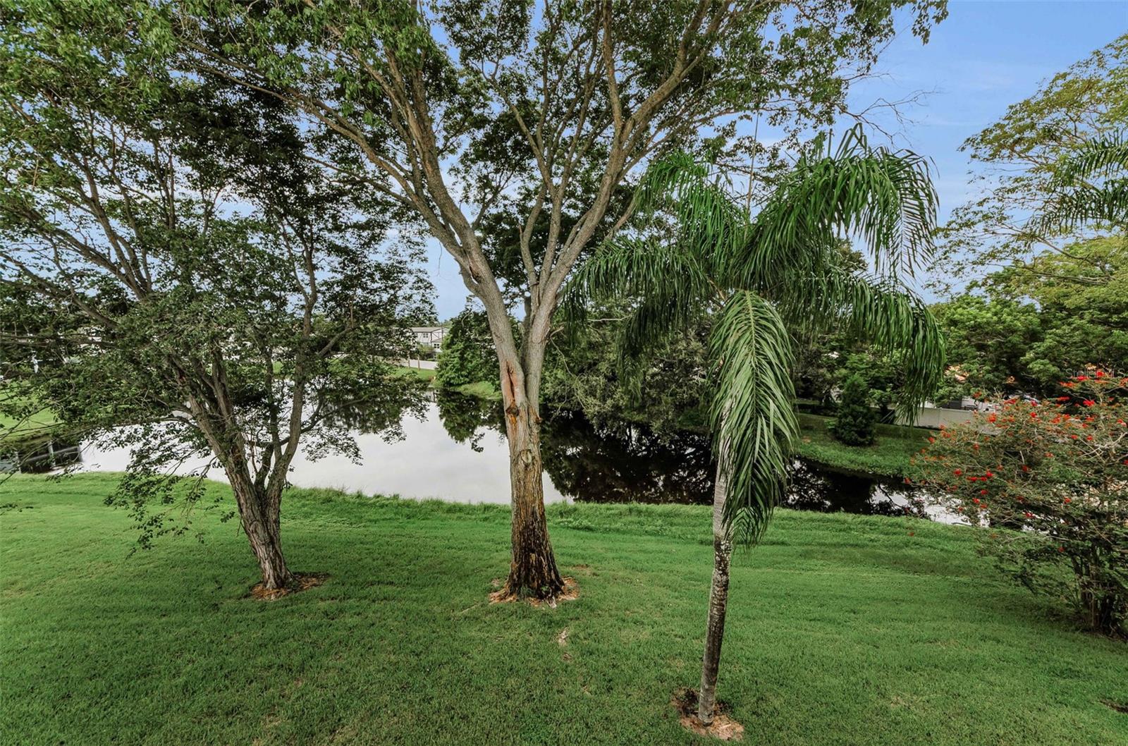 HEATHER RIDGE - Residential