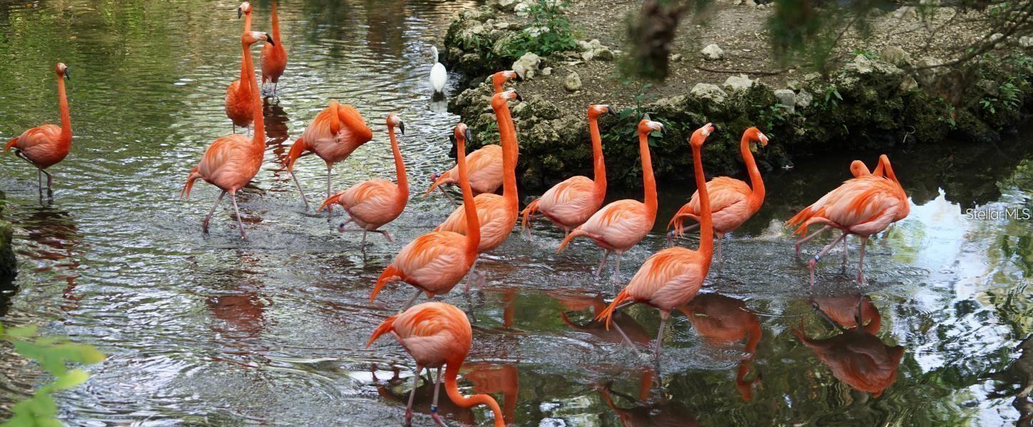 SUGARMILL WOODS CYPRESS VILLAGE - Land