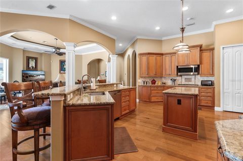 Tiny photo for 6826 Silver Charm Court, Leesburg, FL 34748 (MLS # G5109401)