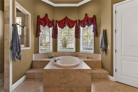 Tiny photo for 6826 Silver Charm Court, Leesburg, FL 34748 (MLS # G5109401)