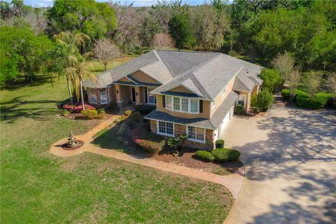 Photo of 6826 Silver Charm Court, Leesburg, FL 34748 (MLS # G5109401)