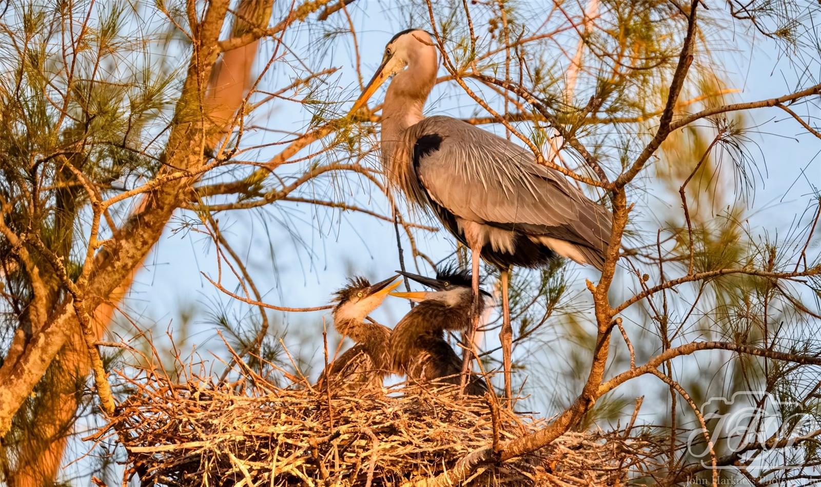 MOUNT VERNON PH 1-B - Residential