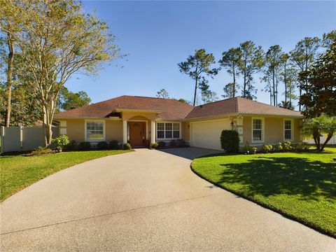 A home in PALM COAST