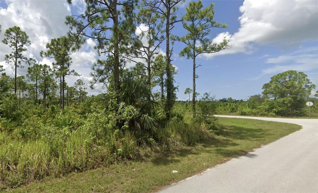 Photo of 13200 Minnesota Avenue, Punta Gorda, FL 33955 (MLS # TB8409520)
