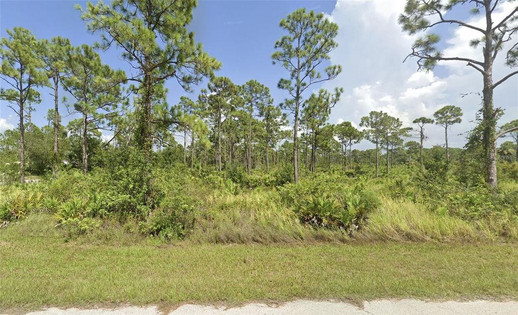 Photo of 13200 Minnesota Avenue, Punta Gorda, FL 33955 (MLS # TB8409520)