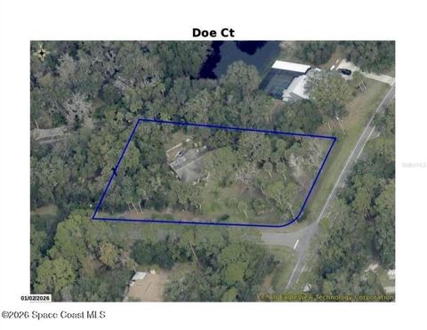 Photo of 2738 Doe Court, Titusville, FL 32780 (MLS # O6381384)