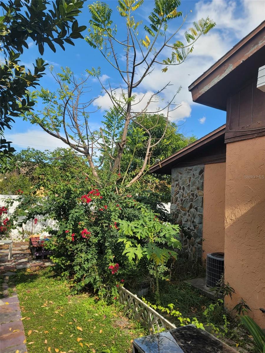 WATERWAY VILLAGE - Residential