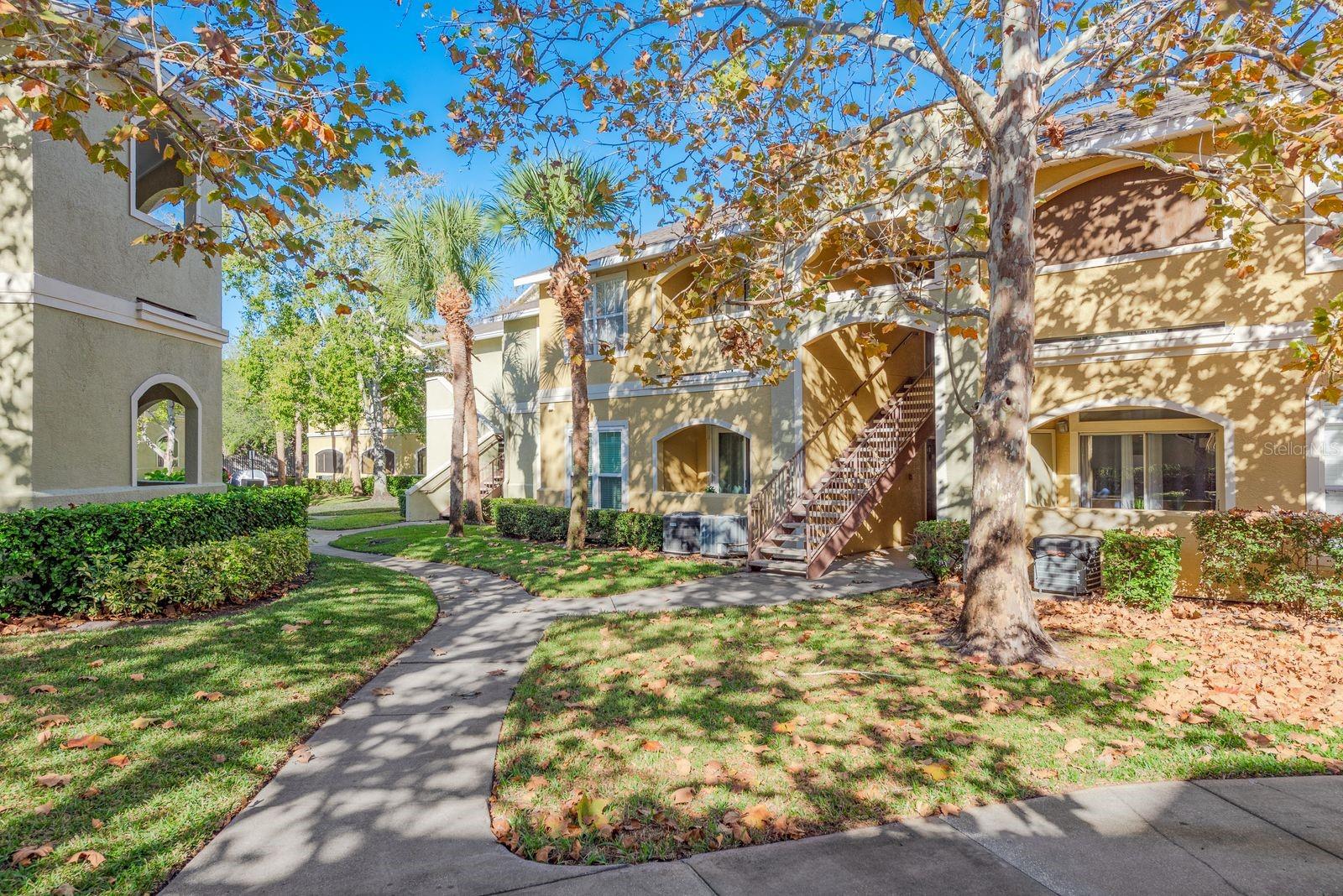 AVALON OF CLEARWATER THE CONDO - Residential