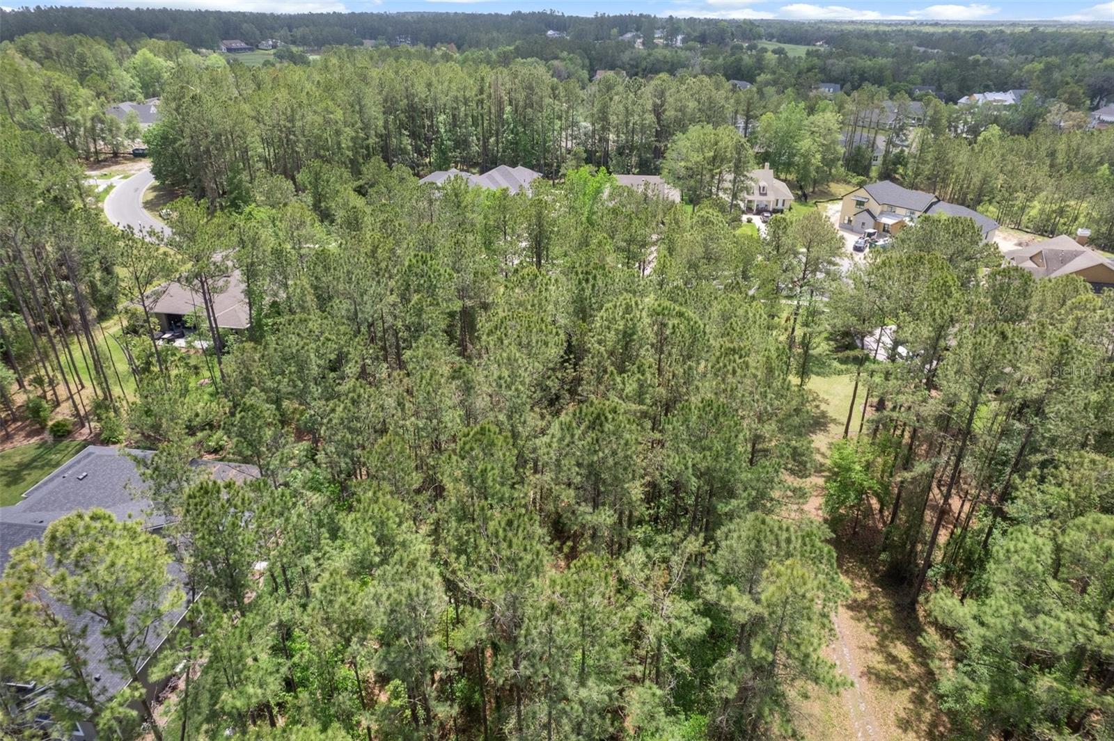 SOUTHERN HILLS PLANTATION PH 1 - Land