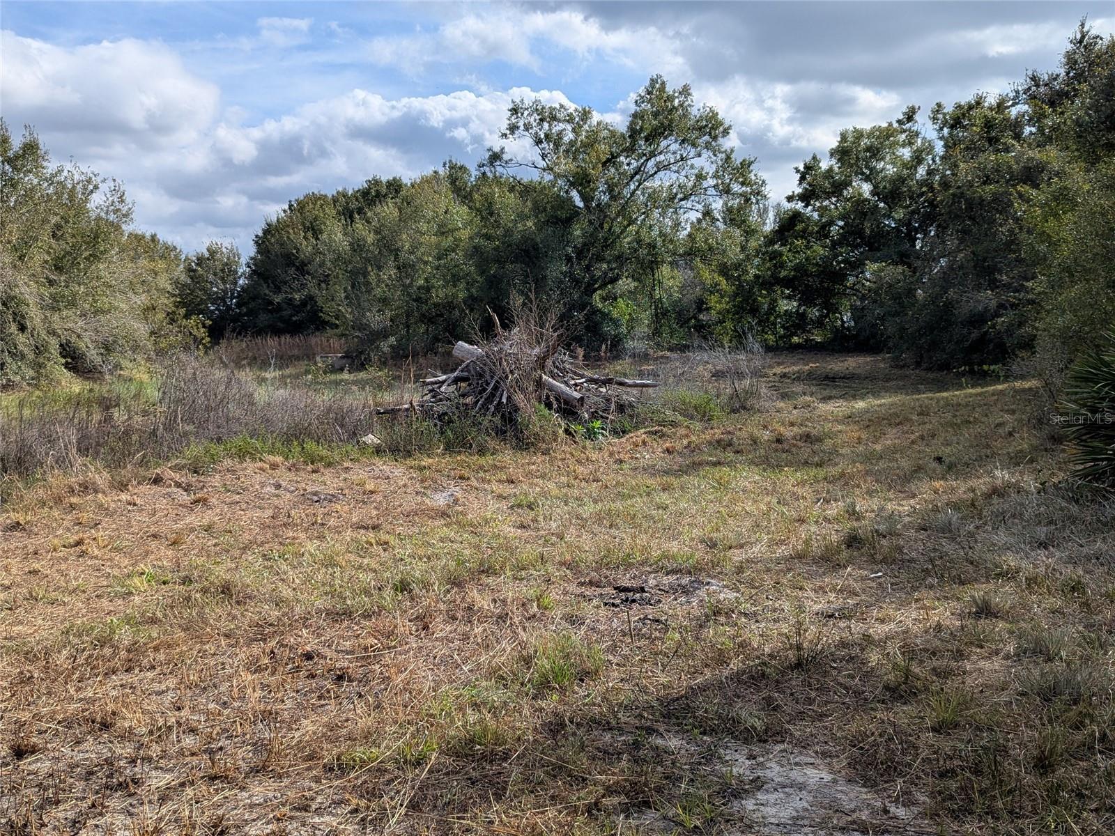 MEADOWS/ARCADIA - Residential