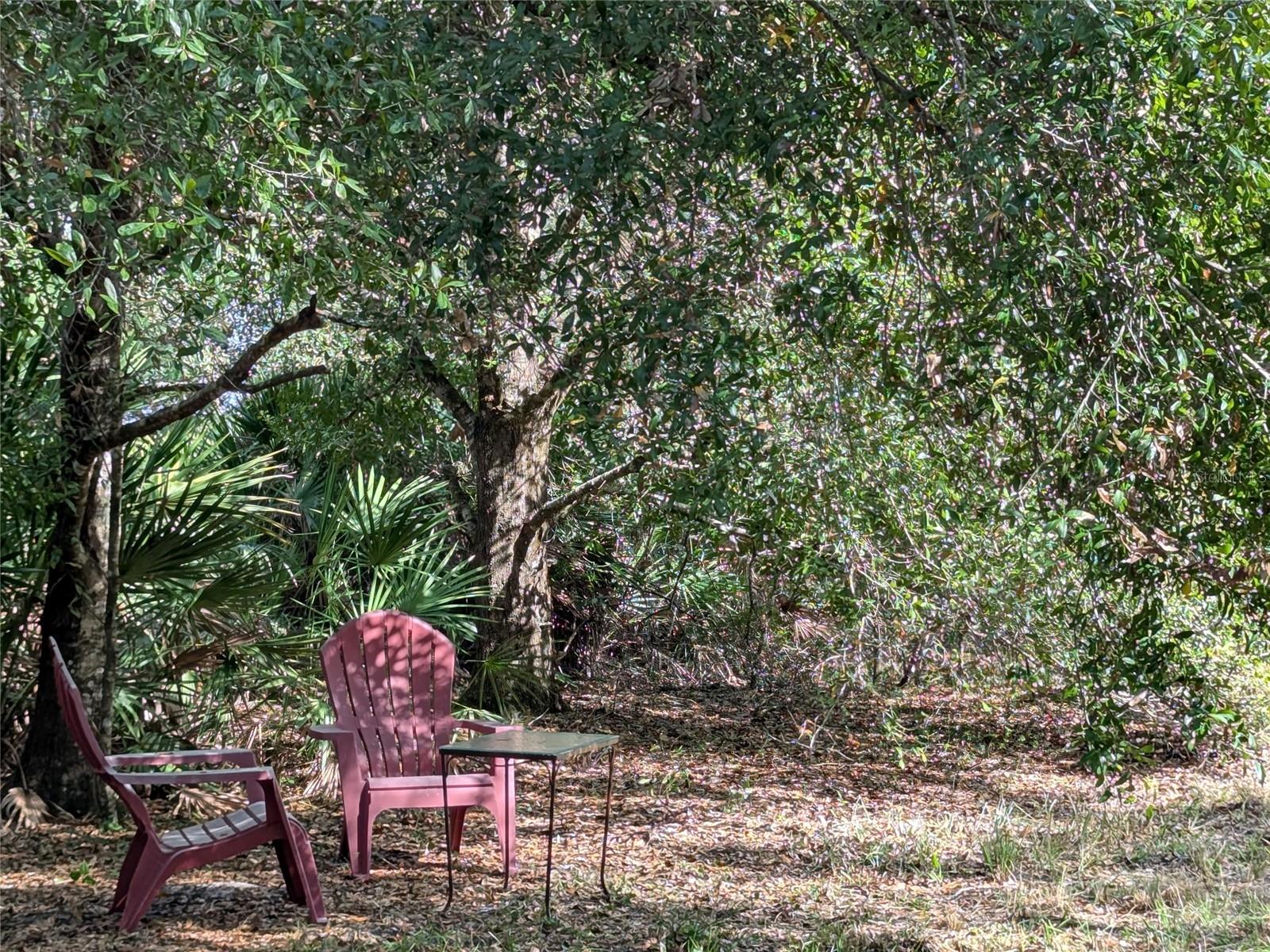 MEADOWS/ARCADIA - Residential