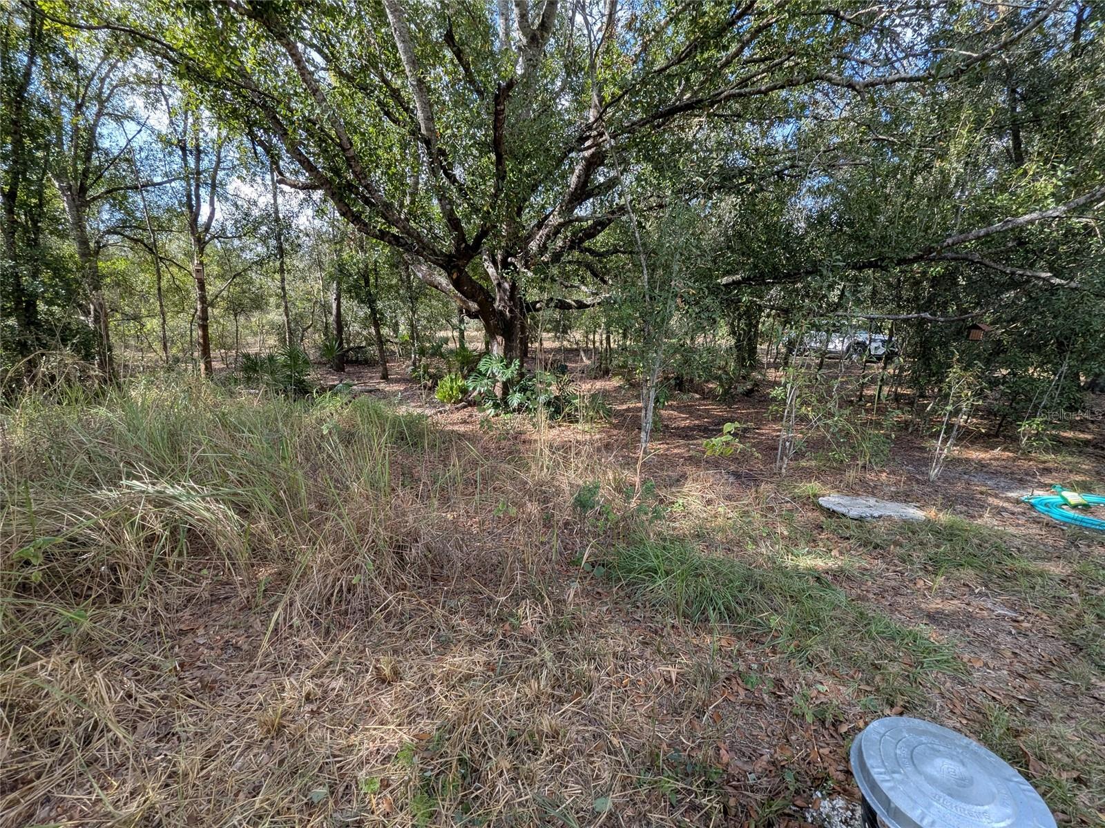 MEADOWS/ARCADIA - Residential