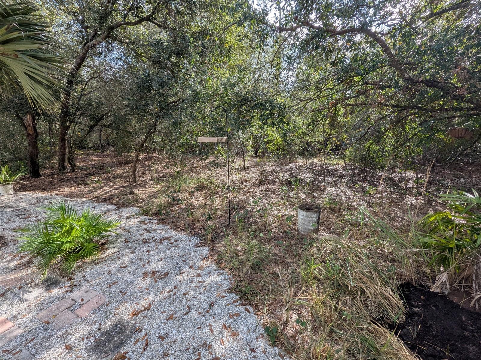 MEADOWS/ARCADIA - Residential