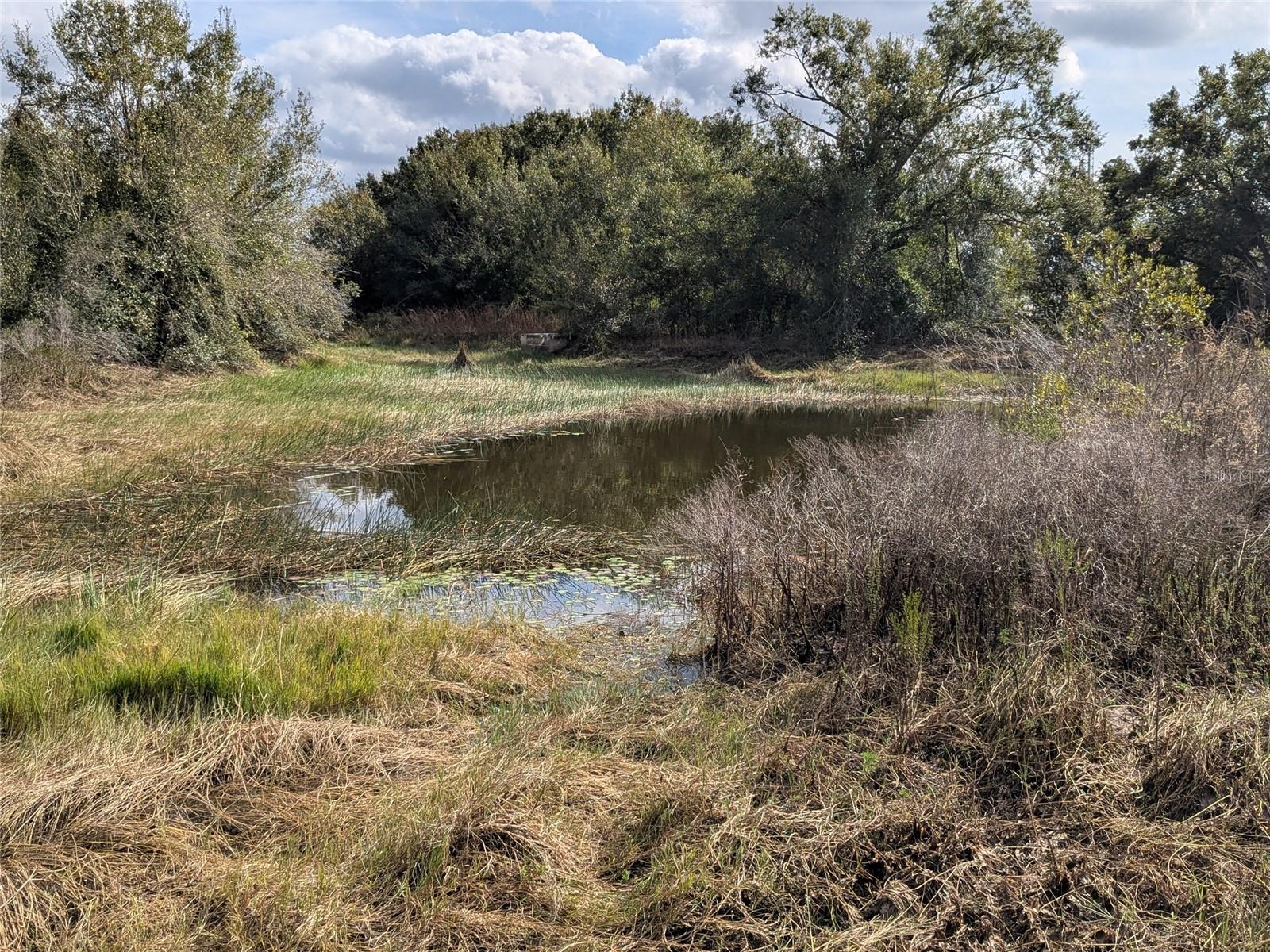 MEADOWS/ARCADIA - Residential