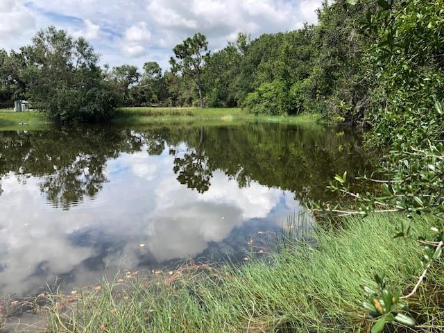 MEADOWS/ARCADIA - Residential