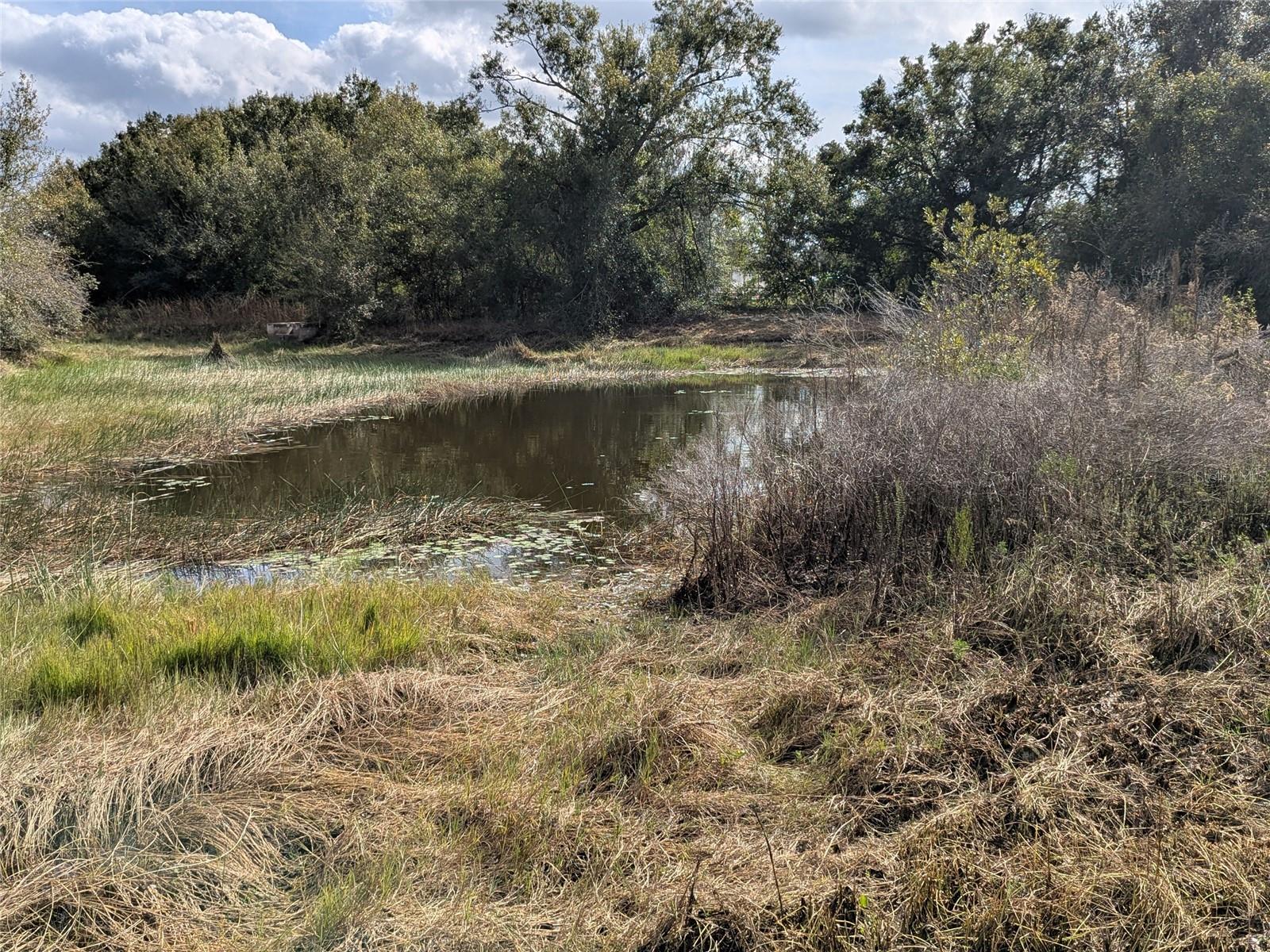 MEADOWS/ARCADIA - Residential