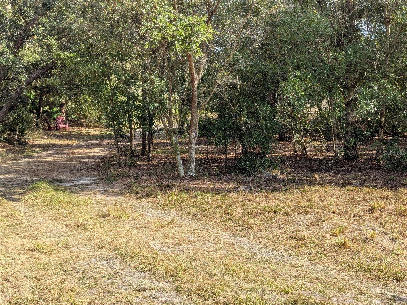 MEADOWS/ARCADIA - Residential